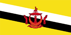 Brunej zastava